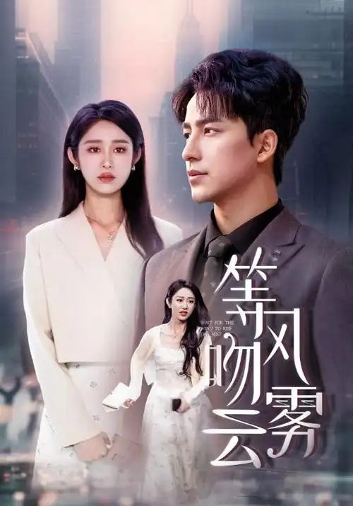 山河故人录 古装电视剧全集免费观看